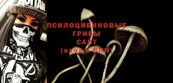 гидропоника Покачи