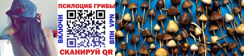 цена   Суздаль  Псилоцибиновые грибы MAGIC MUSHROOMS 